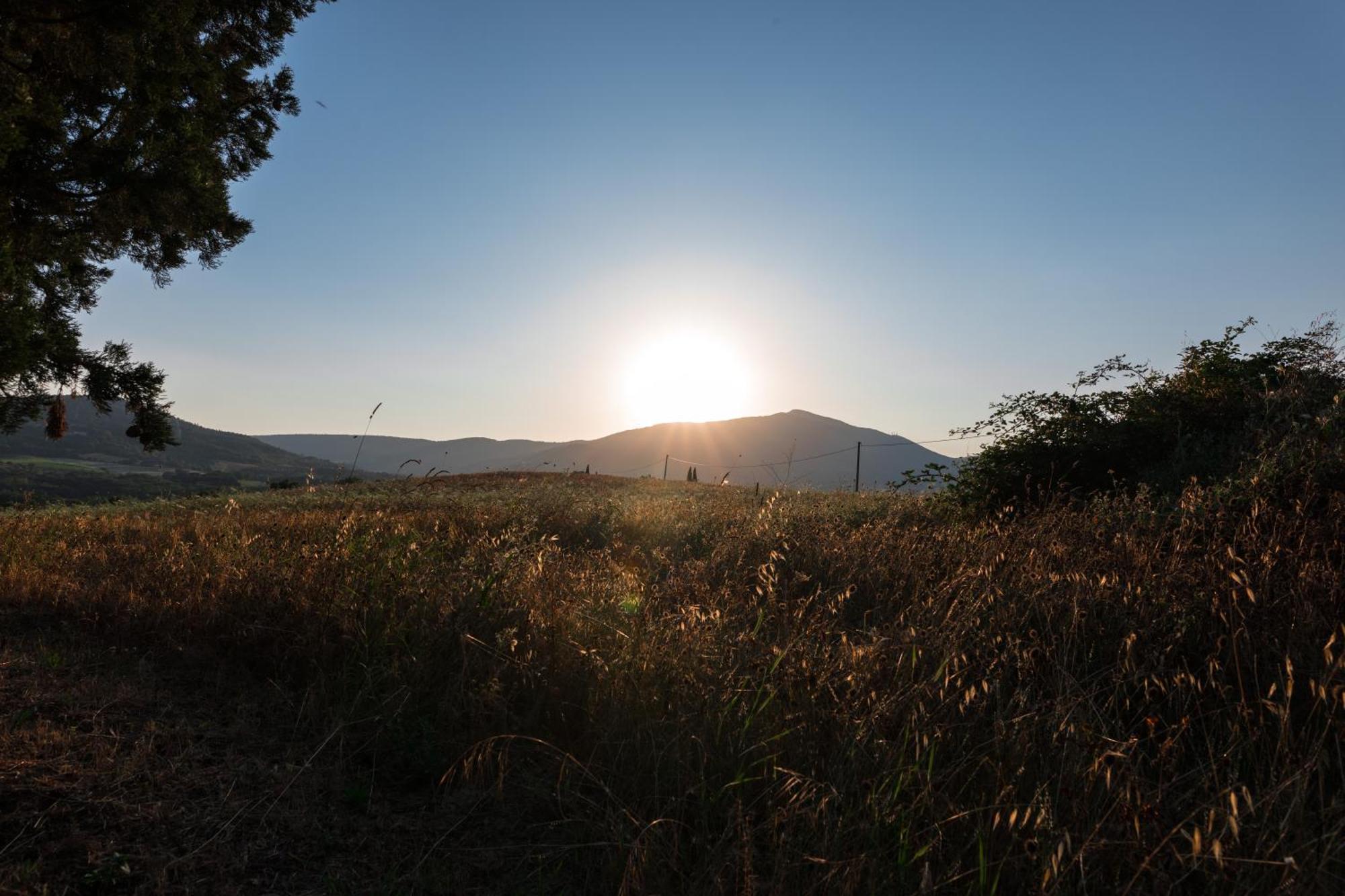 Agriturismo Spazzavento 팔라쪼네 외부 사진